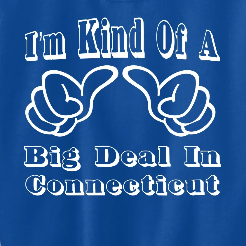 Connecticut Big Deal Kids Sweatshirt