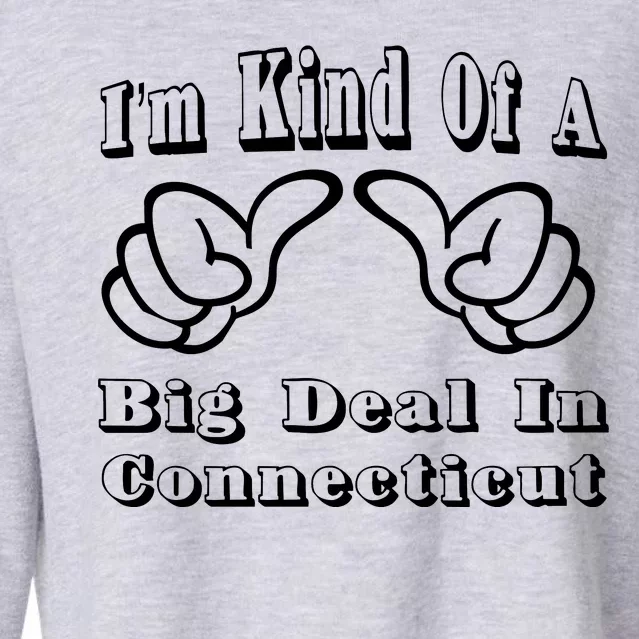 Connecticut Big Deal Cropped Pullover Crew