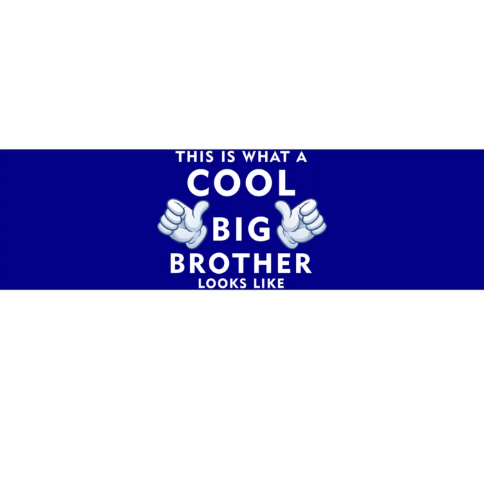 Cool Big Brother Bumper Sticker