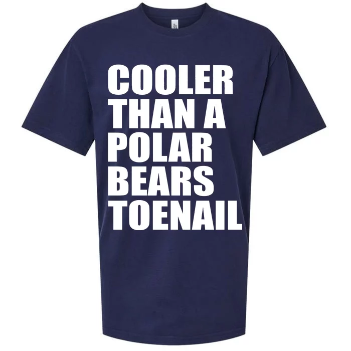 Cooler Than a Polar Bears Toenail Sueded Cloud Jersey T-Shirt