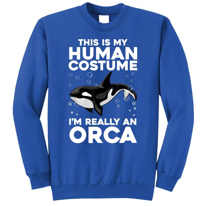 Cool Orca Sea Ocean Animal Orca Lover Tall Sweatshirt