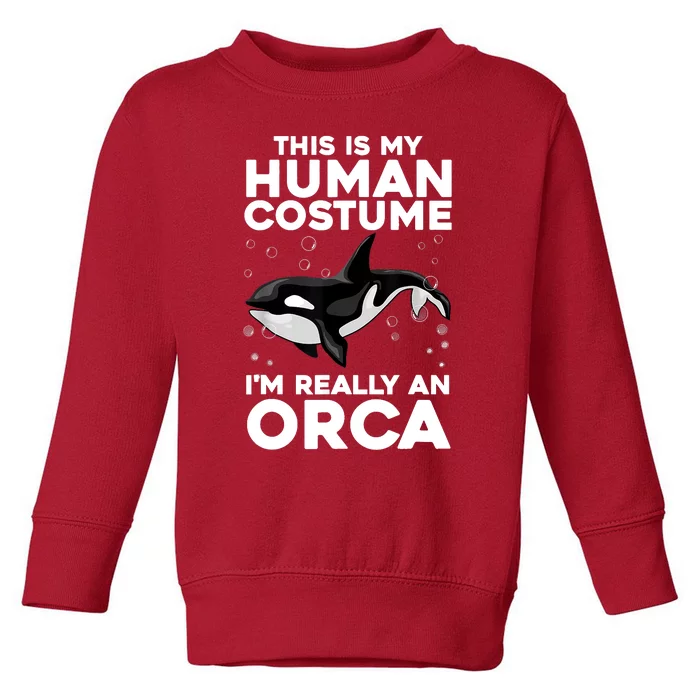 Cool Orca Sea Ocean Animal Orca Lover Toddler Sweatshirt