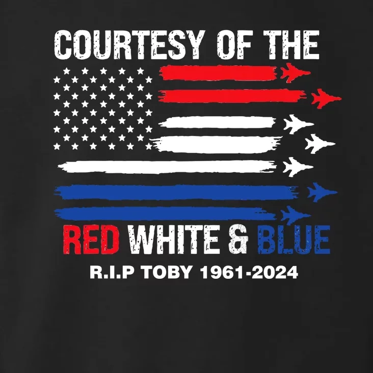 Courtesy Of The Red White And Blue Rip Toby Toddler Hoodie