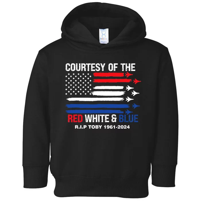 Courtesy Of The Red White And Blue Rip Toby Toddler Hoodie