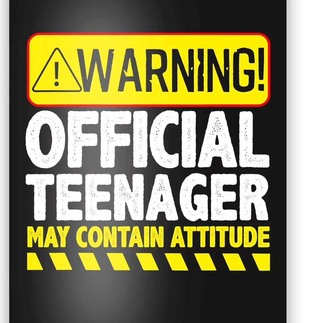 Cool Official Teenager For Boys Girls Teen 13 Year Old B-Day Poster