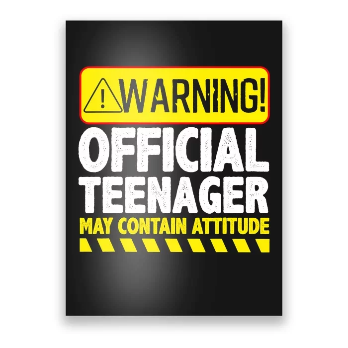 Cool Official Teenager For Boys Girls Teen 13 Year Old B-Day Poster