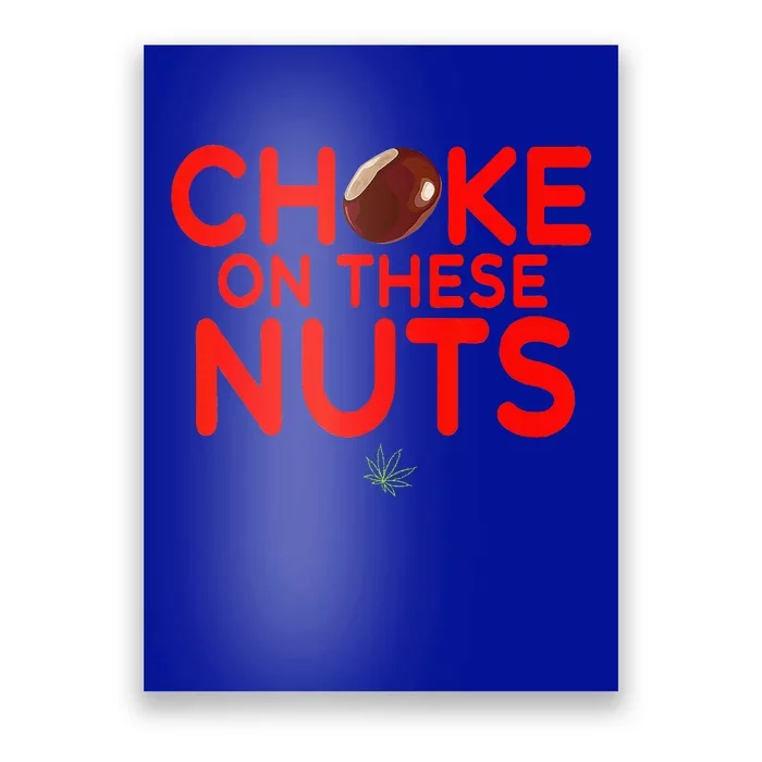 Choke On These Nuts Poster