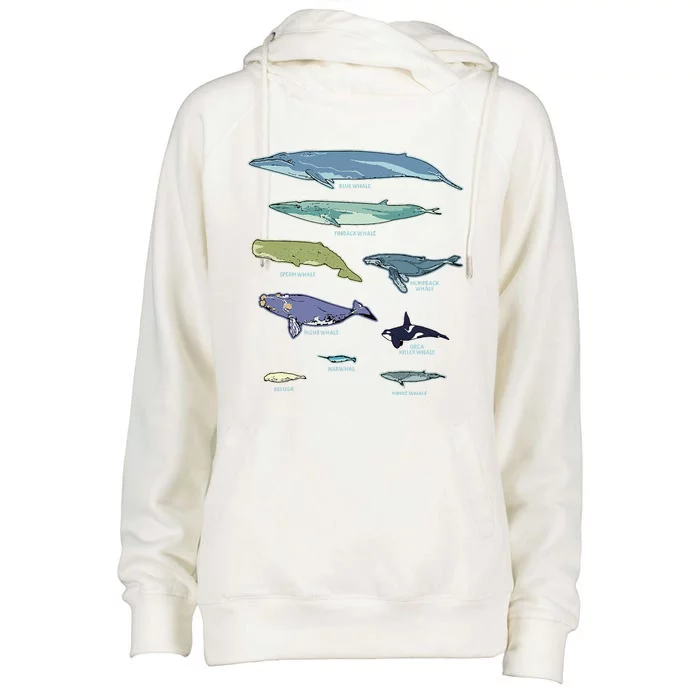 Collection Of Whale Breeds Species Womens Funnel Neck Pullover Hood