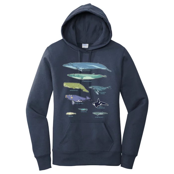 Collection Of Whale Breeds Species Women's Pullover Hoodie