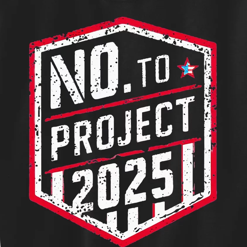 Current Political 2024 Stop Project 2025 Kids Sweatshirt