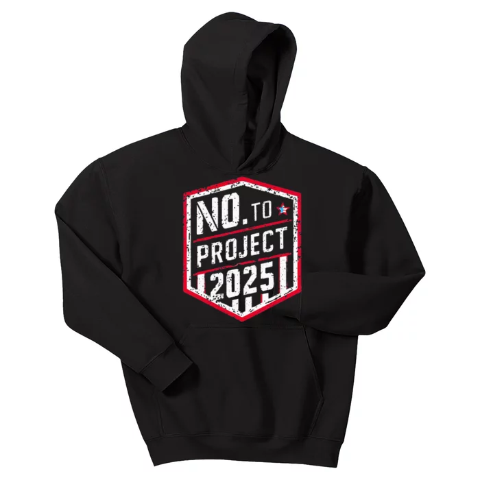 Current Political 2024 Stop Project 2025 Kids Hoodie