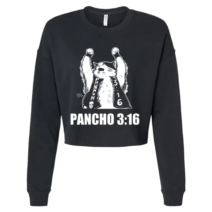 Cat Pancho 3 16 Cropped Pullover Crew