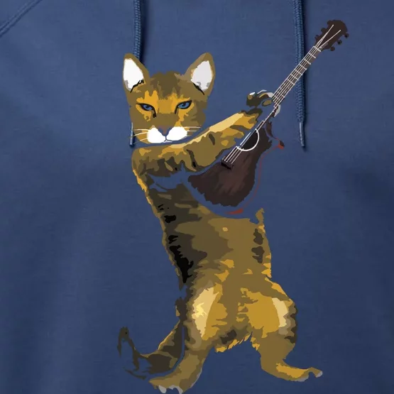 Cat Playing Acoustic Guitar Musician Performance Fleece Hoodie