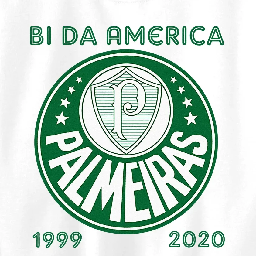 Camiseta Palmeiras Bi America Brasil Soccer Kids Sweatshirt