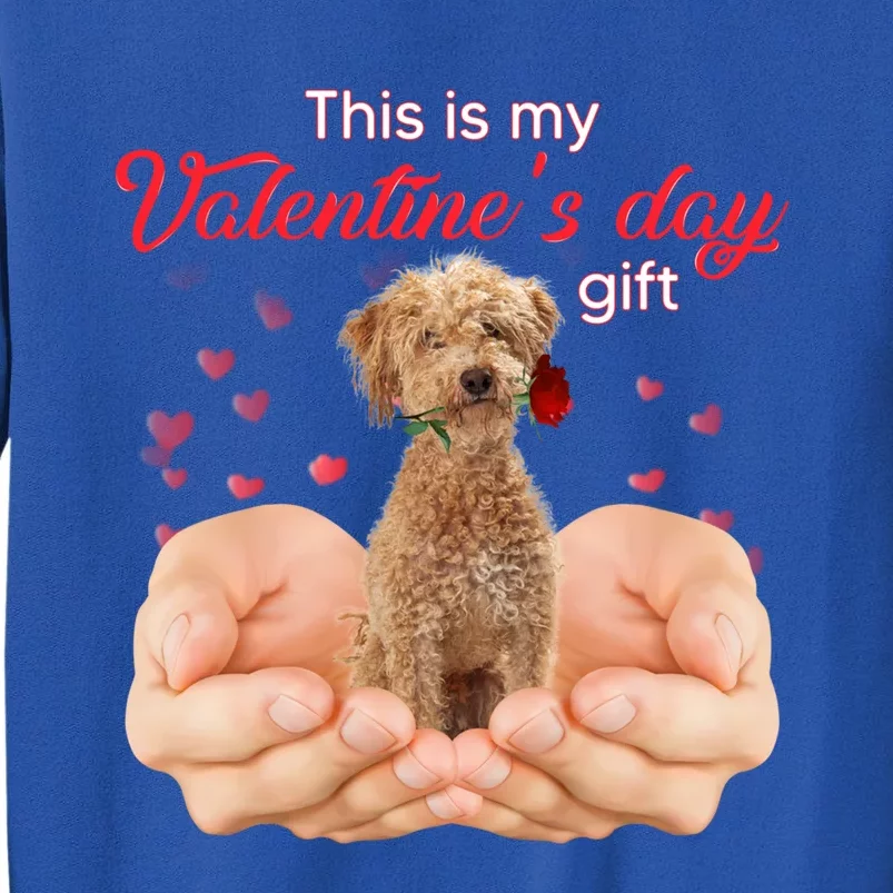 Cute Poodle Crossbreed This Is My Valentine's Day Pajama Gift Sweatshirt