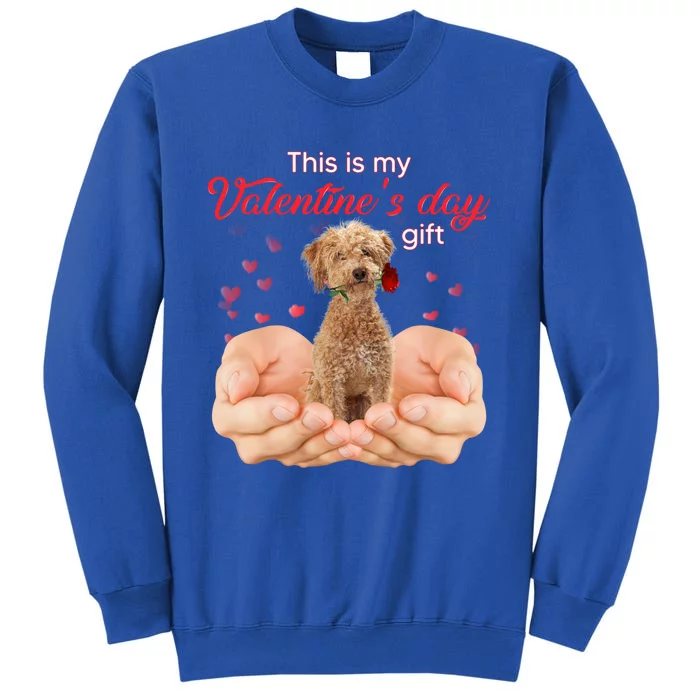 Cute Poodle Crossbreed This Is My Valentine's Day Pajama Gift Sweatshirt