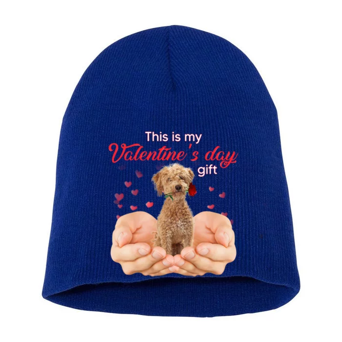 Cute Poodle Crossbreed This Is My Valentine's Day Pajama Gift Short Acrylic Beanie