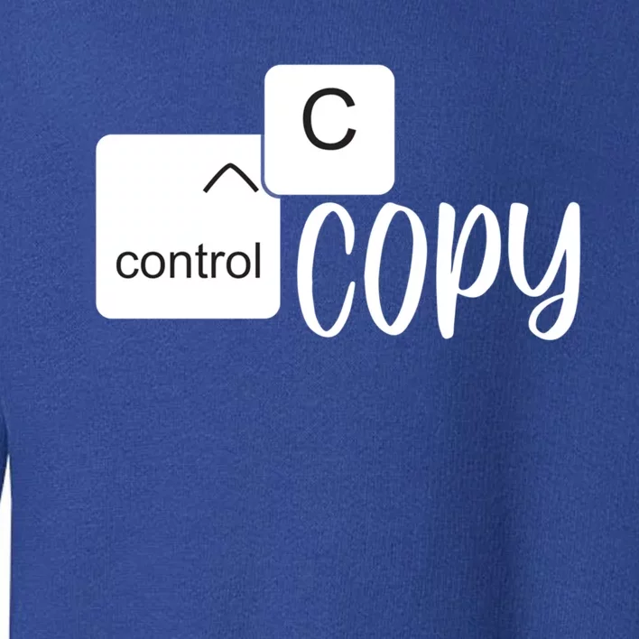 Copy Paste Ctrl C Gift Family Matching Father Daughter Son Gift Toddler Sweatshirt