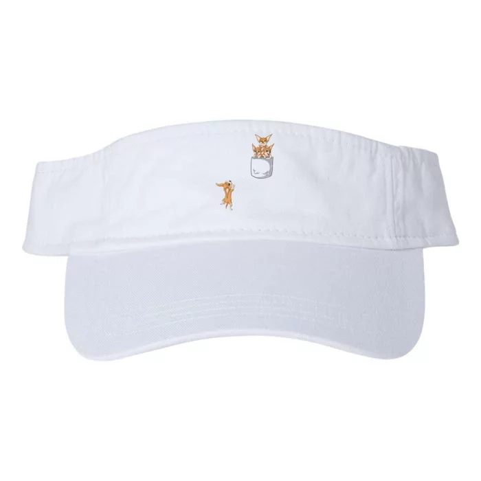 Chihuahua Pocket Valucap Bio-Washed Visor