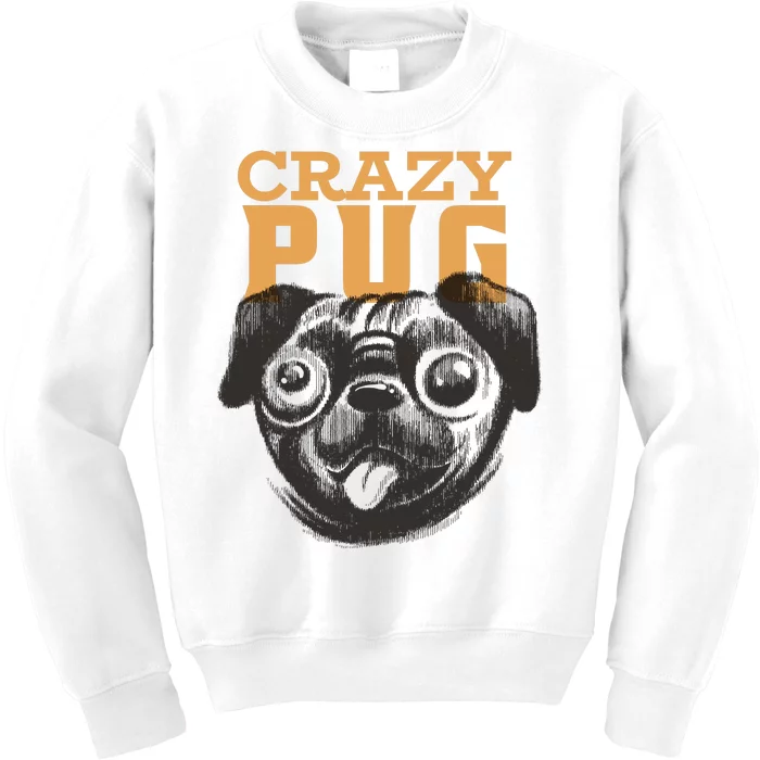 Crazy Pug Kids Sweatshirt