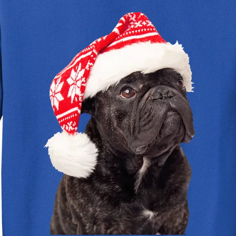 Cute Pug Christmas Santa Hat Funny Dog Fun Christmas Pug Gift Tall Sweatshirt