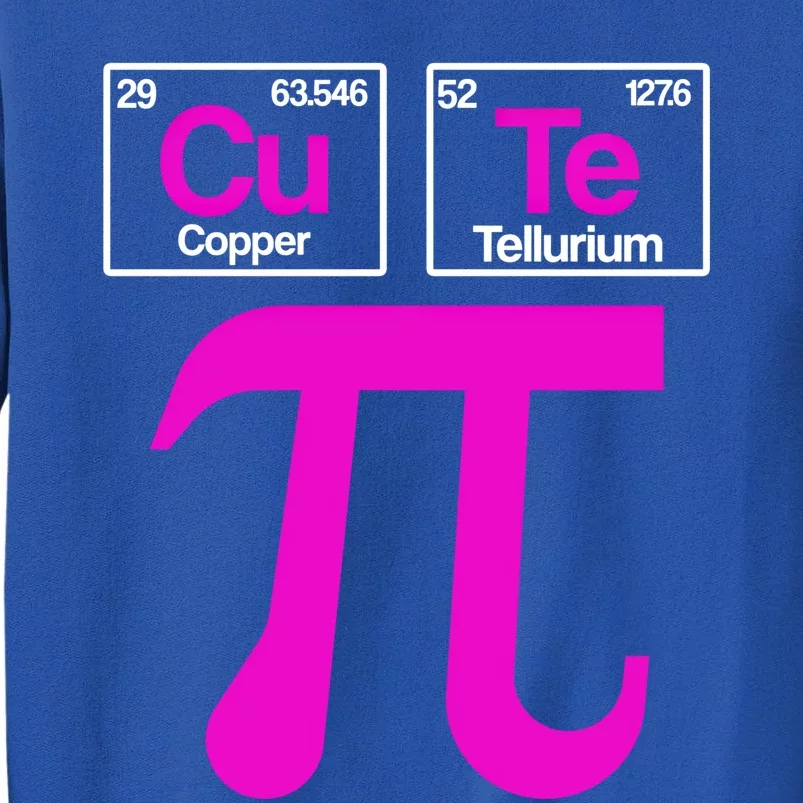 Cutie Pi Celebrate Pi Day March 14 Math And Science Lover Gift Tall Sweatshirt