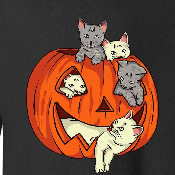 Cats Pumpkin Carved Jack O Lantern Cat Halloween Costume Toddler Sweatshirt