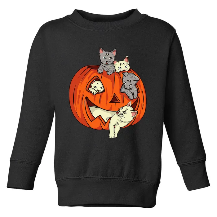 Cats Pumpkin Carved Jack O Lantern Cat Halloween Costume Toddler Sweatshirt