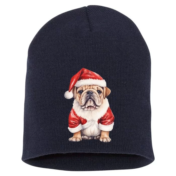 Christmas Pug Dog Cute Holiday Short Acrylic Beanie