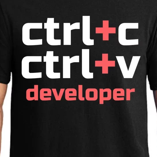 Copy Paste Developer Ctrl C Ctrl V Coder Gift Pajama Set