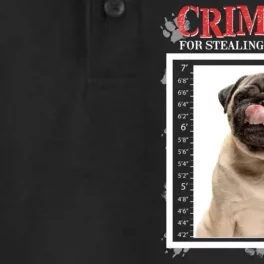 Custom Photo Dog Criminal For Stealing My Sandwich Dry Zone Grid Performance Polo