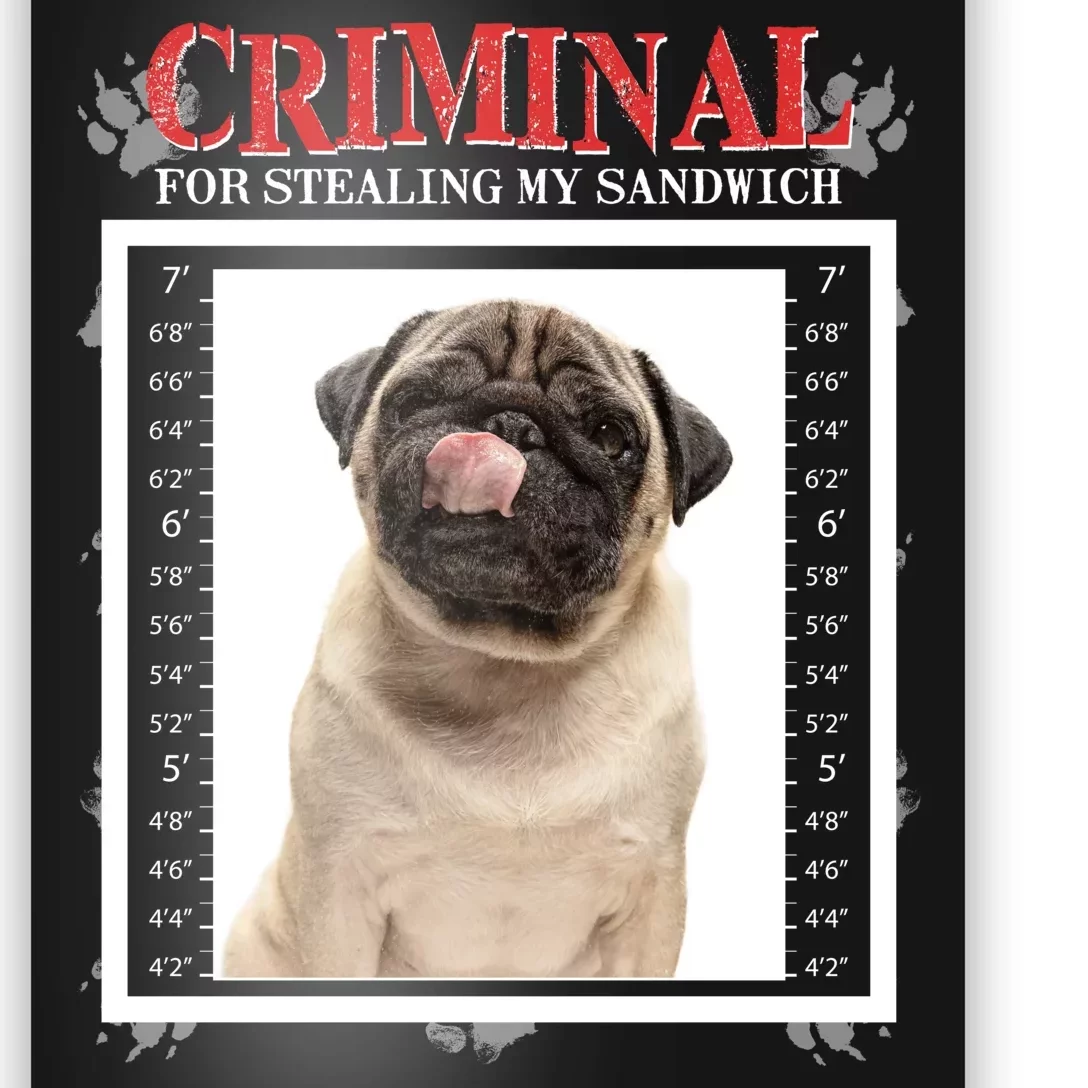 Custom Photo Dog Criminal For Stealing My Sandwich Poster