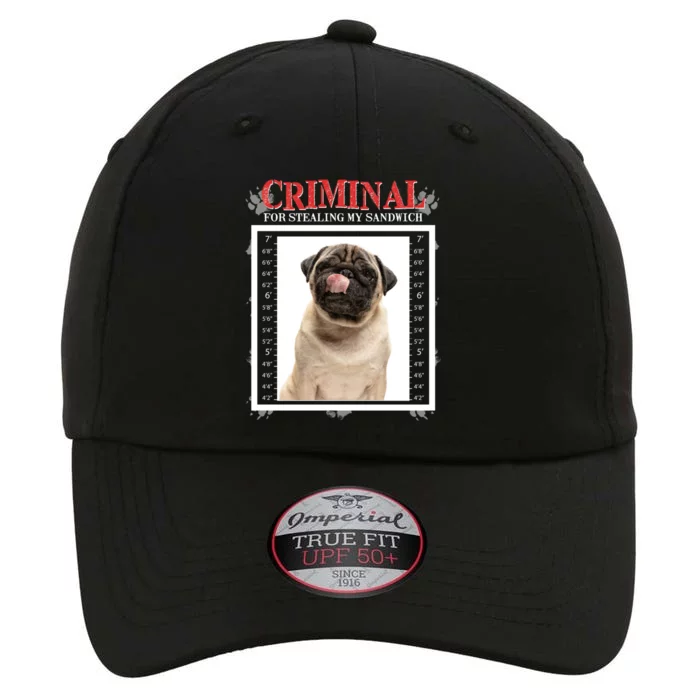 Custom Photo Dog Criminal For Stealing My Sandwich The Original Performance Cap