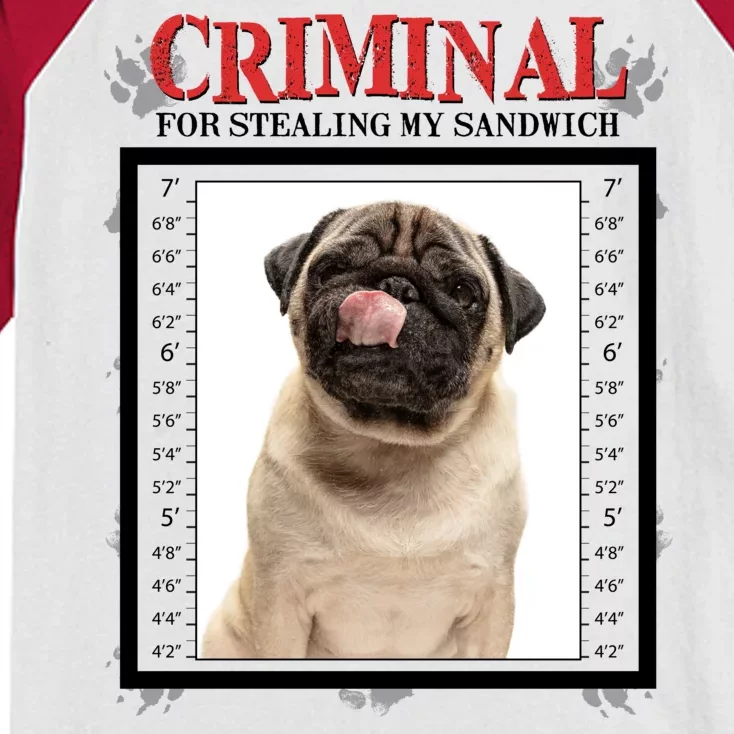 Custom Photo Dog Criminal For Stealing My Sandwich Kids Colorblock Raglan Jersey