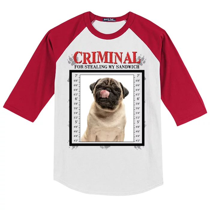 Custom Photo Dog Criminal For Stealing My Sandwich Kids Colorblock Raglan Jersey