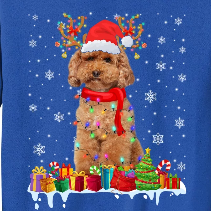 Cute Poodle Dog Christmas Lights Funny Xmas Santa Hat Great Gift Tall Sweatshirt