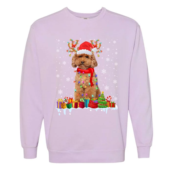 Cute Poodle Dog Christmas Lights Funny Xmas Santa Hat Great Gift Garment-Dyed Sweatshirt