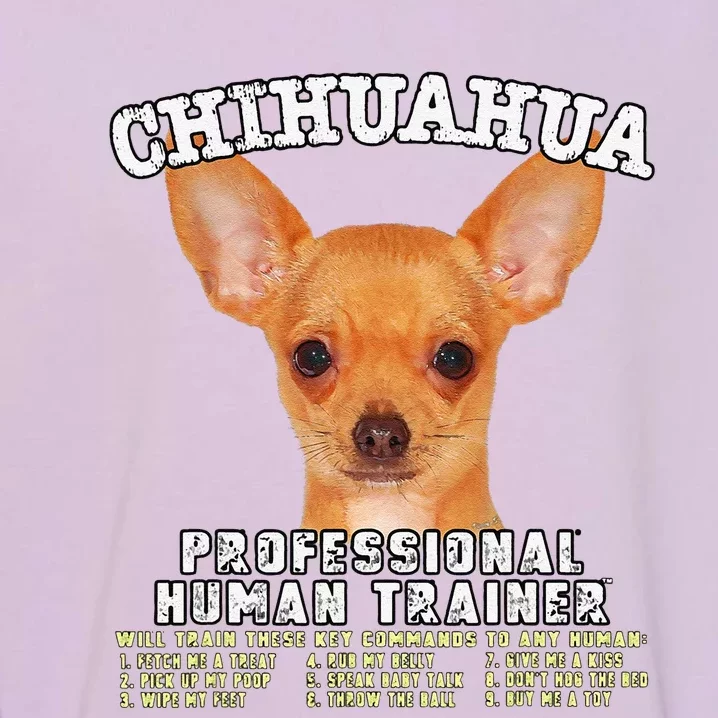 Chihuahua Professional Human Trainer Cute Dog Garment-Dyed Sweatshirt