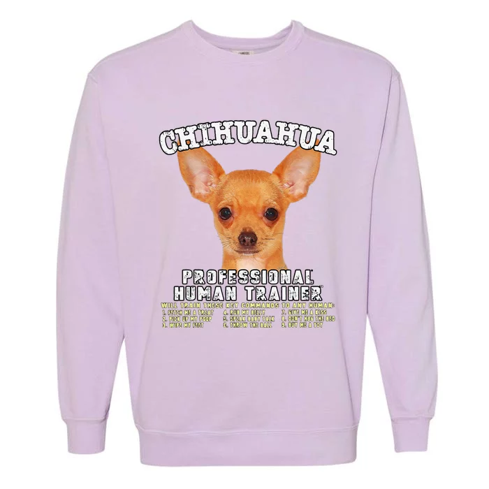 Chihuahua Professional Human Trainer Cute Dog Garment-Dyed Sweatshirt