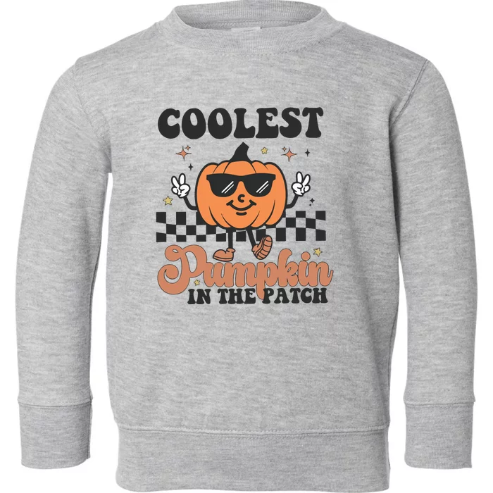 Coolest Pumpkin In The Patch Toddler Sweatshirt