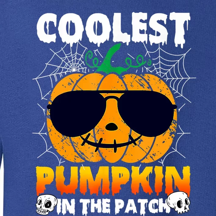 Coolest Pumpkin In The Patch Halloween Great Gift Toddler Sweatshirt