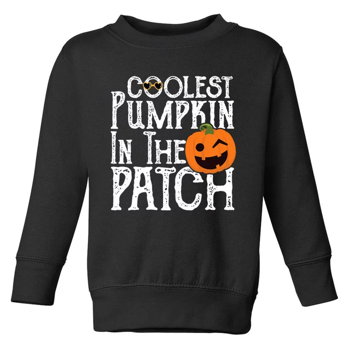 Coolest Pumpkin In The Patch Halloween Toddler Sweatshirt