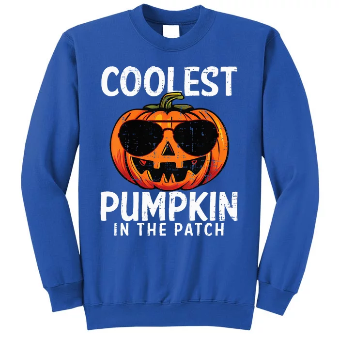 Coolest Pumpkin In The Patch Halloween Tall Sweatshirt