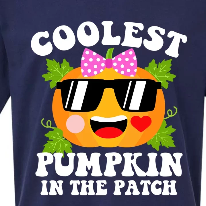 Coolest Pumpkin In The Patch Gift Funny Halloween Costume Gift Sueded Cloud Jersey T-Shirt