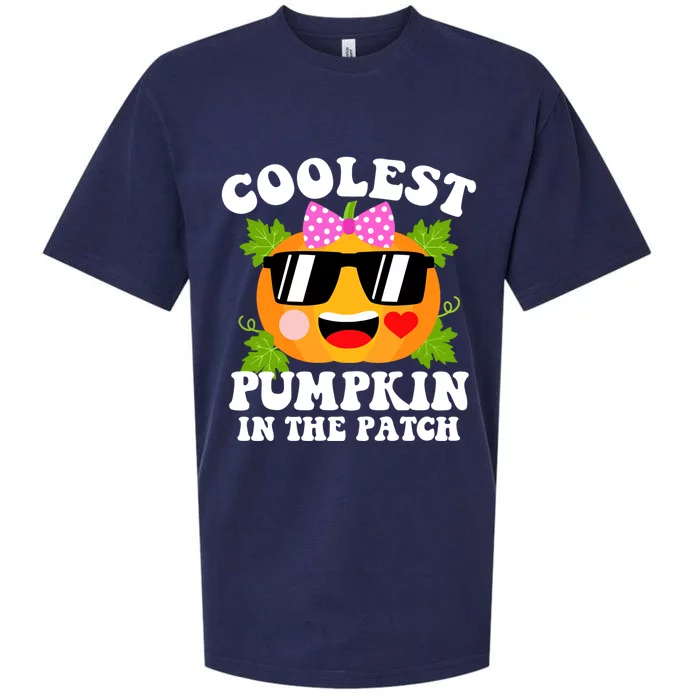 Coolest Pumpkin In The Patch Gift Funny Halloween Costume Gift Sueded Cloud Jersey T-Shirt