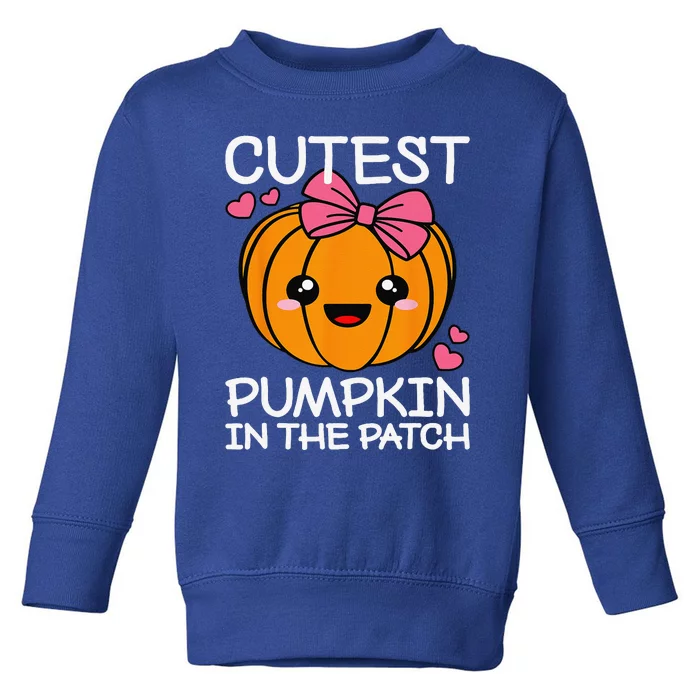 Cutest Pumpkin In The Patch Funny Halloween Thanksgiving Toddler Sweatshirt