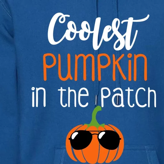 Coolest Pumpkin In The Patch Meaningful Gift Premium Hoodie