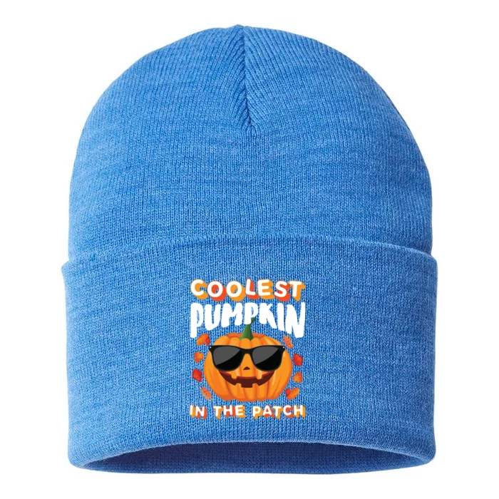 Coolest Pumpkin In The Patch Vintage Halloween Party Cute Gift Sustainable Knit Beanie