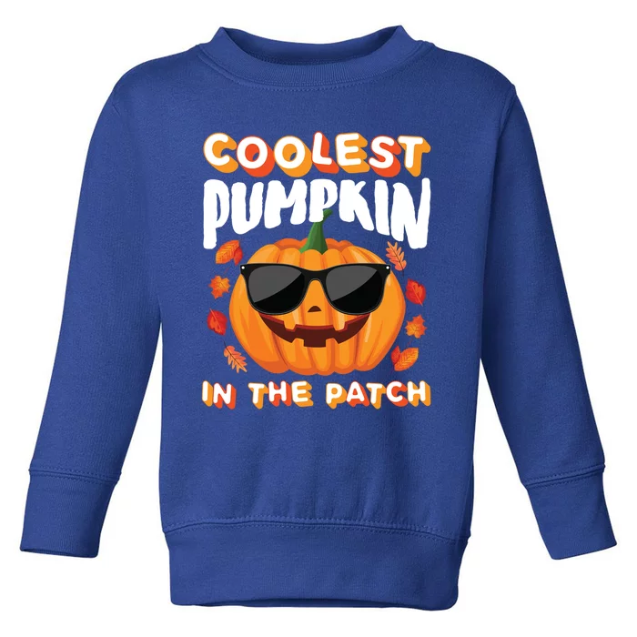 Coolest Pumpkin In The Patch Vintage Halloween Party Cute Gift Toddler Sweatshirt