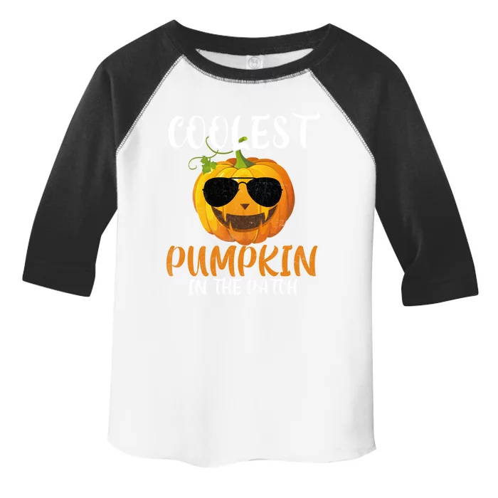 Coolest Pumpkin In The Patch Funny Halloween Gift Funny Gift Toddler Fine Jersey T-Shirt